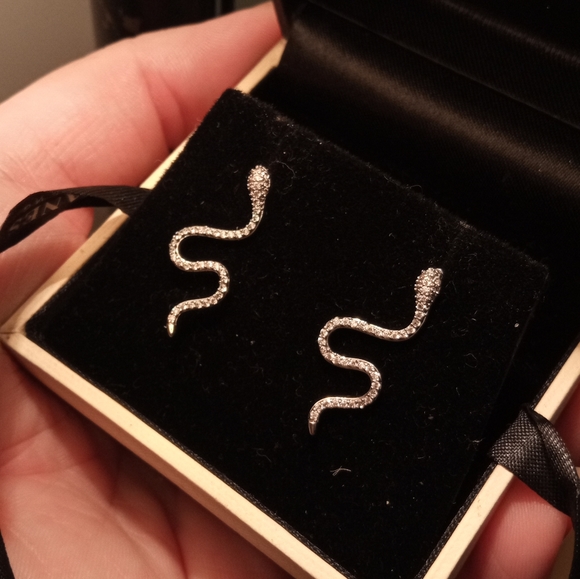 Elegant Silver Plated Cubic Zirconia Snake Earrings - Picture 14 of 14